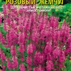 Семена Дербенник Розовый жемчуг 0,05 гр, Плазменные семена