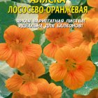 Семена Настурция Аляска лососево-оранжевая 7шт, Плазменные семена