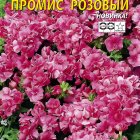 Семена Флокс махровый Промис Розовый, 5 шт, Плазменные семена