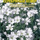 Семена Ясколка Биберштейна, Серебряный ковёр 0,1г, Плазменные семена