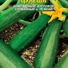 Семена  Кабачок цуккини Цукеша  10 шт Плазменные семена