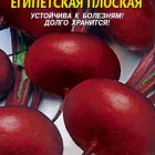 Семена  Свекла Египетская плоская  2,5 гр Плазменные семена