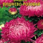 Семена  Астра Башня Вишнево-розовая  0,3 гр Плазменные семена