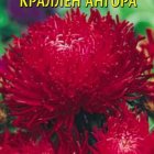 Семена  Астра краллен Ангора  0,3 гр Плазменные семена