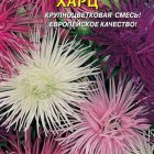 Семена  Астра Харц, смесь  0,3 гр Плазменные семена