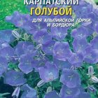 Семена  Колокольчик карпатский Голубой  600 шт Плазменные семена