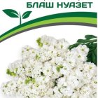 Семена Маттиола срезочная махровая "Бьютифул Парфюм" Блаш Нуазет 10 шт. Партнер