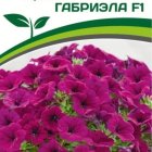 Семена Петуния  "Амбре" Габриэла  F1 каскадная фиолетовая 5 шт. Партнер