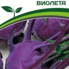 Семена Капуста кольраби Виолета 0,5 г. Партнер