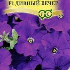 Семена Петуния Дивный вечер F1 многоцв. 10 шт. гранул. пробирка