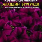 Семена Петуния F1 крупноцветковая Аладдин Бургунд