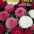 Семена Маргаритка махровая Смесь