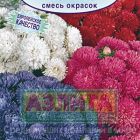 Семена Астра Нюанс карликовая, смесь окрасок ц/п