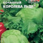 Семена Салат кочанный Королева льда (айсберг)