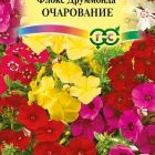 Семена Флокс Очарование , друммонда смесь* 0,05 г