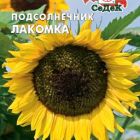 Семена Подсолнечник Лакомка (Евро, 5