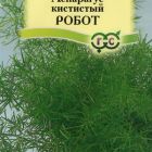 Семена Аспарагус кистистый Робот 0,3 г