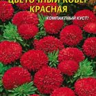 Семена Астра Цветочный ковер, красная