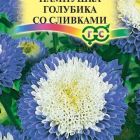 Семена Астра Пампушка голубика со сливками (Гавриш), 0,3 г