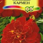 Семена Бархатцы откл. Кармен (Тагетис) 0,3г