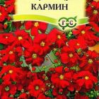 Семена Гипсофила изящная, Кармин 0,3 г