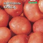 Семена Картофель Краса