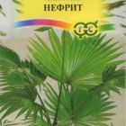 Семена Ливистона китайская Нефрит 3 шт.