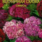 Семена Гвоздика турецкая Восточная сказка, смесь махровая ц/п