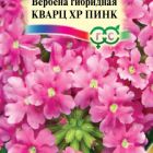 Семена Вербена Кварц ХР Пинк, гибридная 5 шт