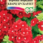 Семена Вербена Кварц ХР Скарлет, гибридная 5 шт