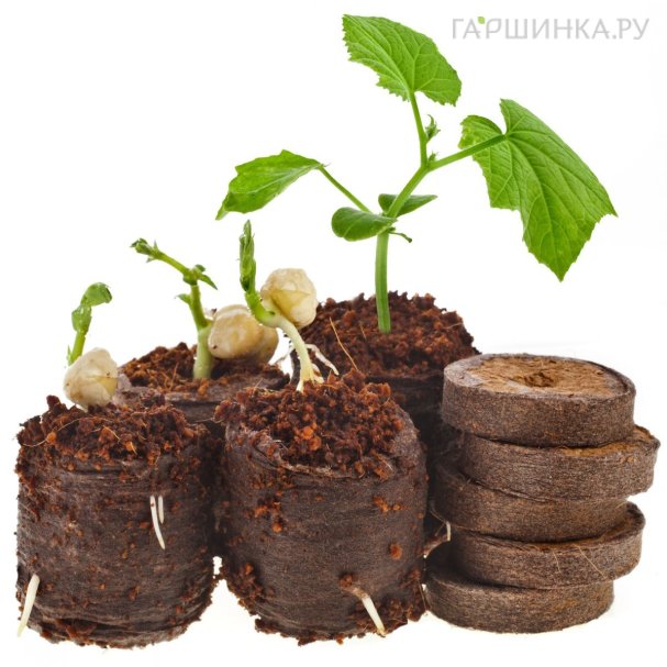 Таблетки для рассады купить в Москве по низкой цене - интернет-магазин ...